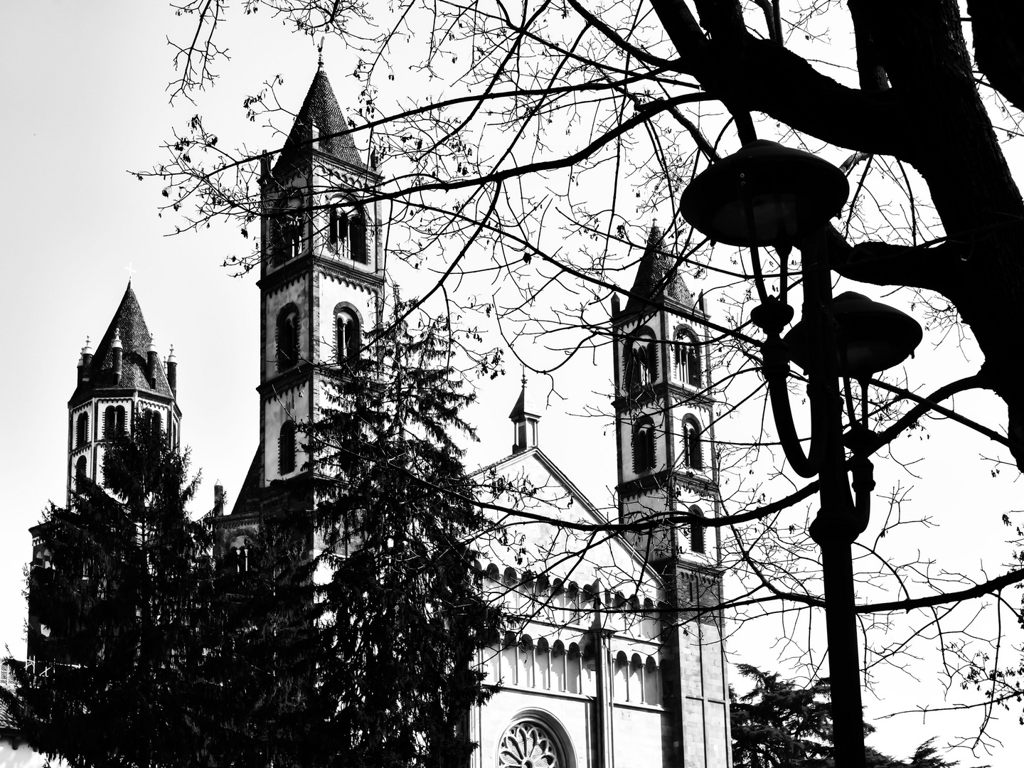 Basilica Sant'Andrea, Vercelli