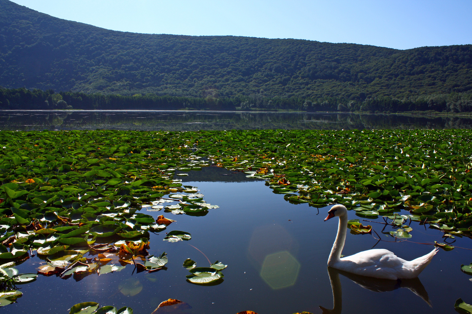 Basilicata-Lago di Monticchio