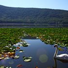 Basilicata-Lago di Monticchio