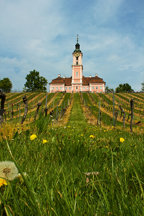 Basilika Birnau