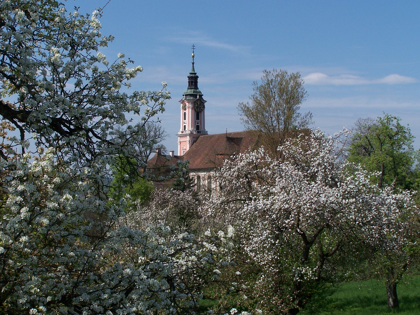 Basilika Birnau im Frühjahr