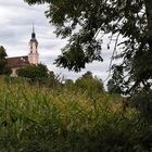 Basilika in Birnau