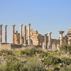 Basilika in Volubilis