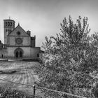 Basilika San Francesco