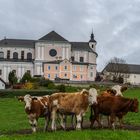 Basilika Sonntagberg ...