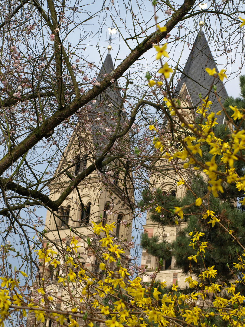 Basilika St.-Kastor Koblenz im Frühling