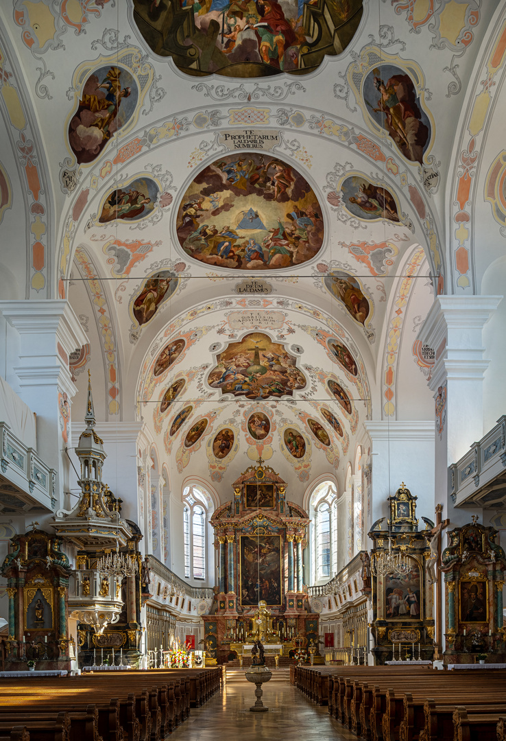  Basilika St. Peter (Dillingen)