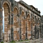 Basilika Volubilis