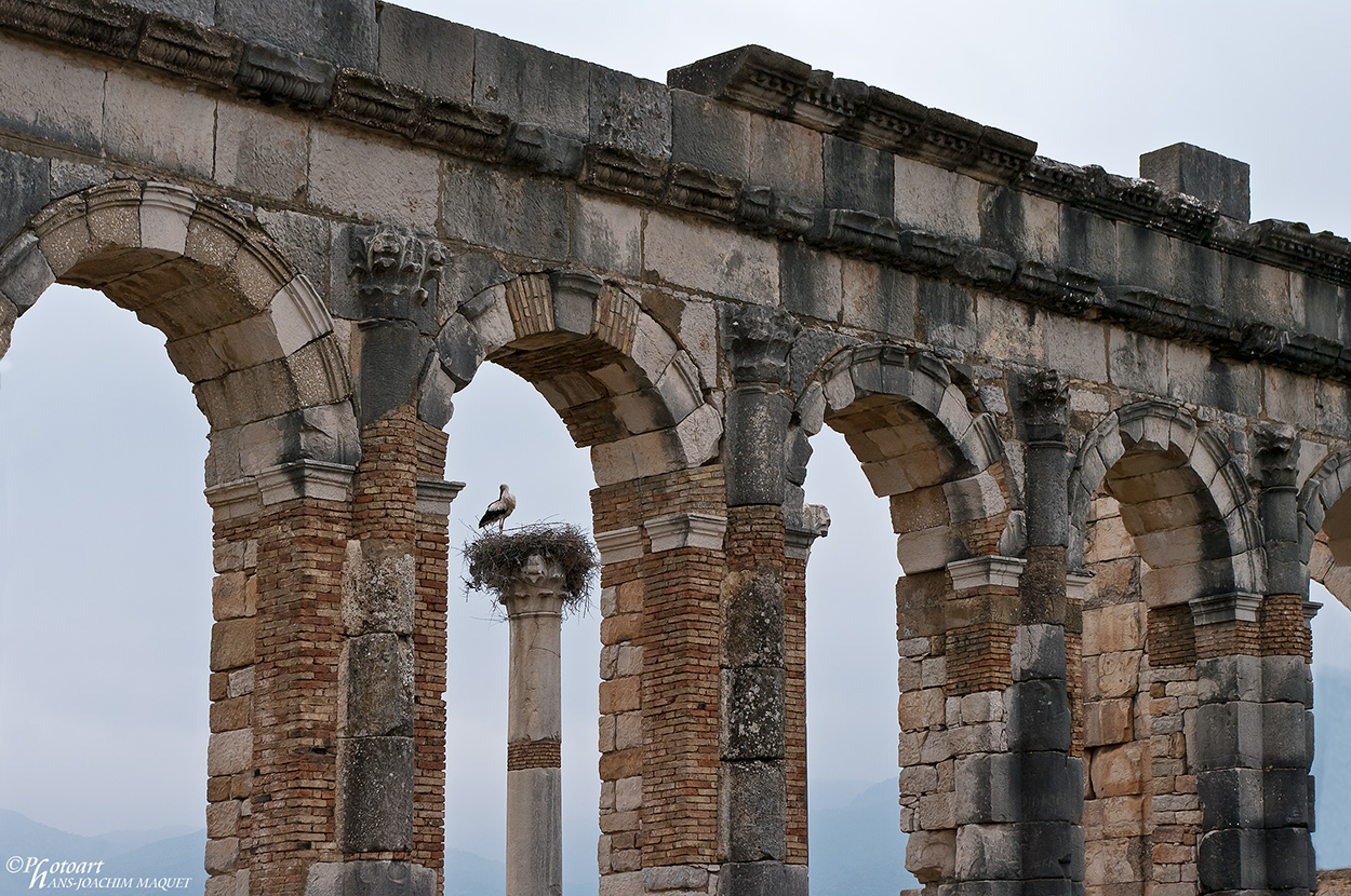 Basilika Volubilis