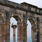 Basilika Volubilis