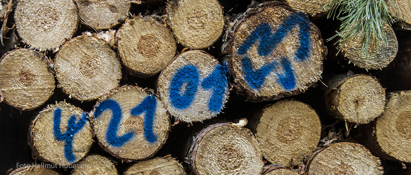 BASISMATERIAL FÜR HOLZKÖPFE VERSCHIEDENER ART