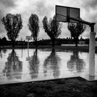 Basket a Pioltello