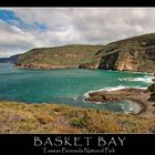 Basket Bay II