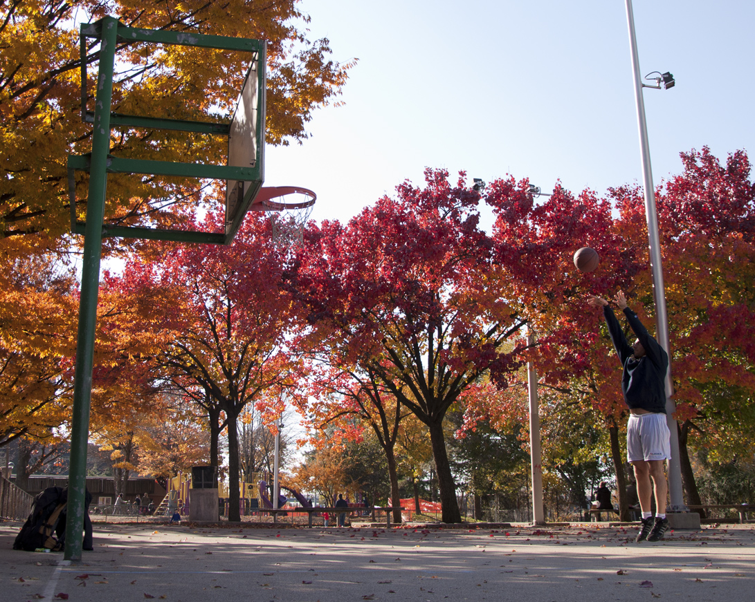 basket in philly