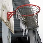 Basketball net