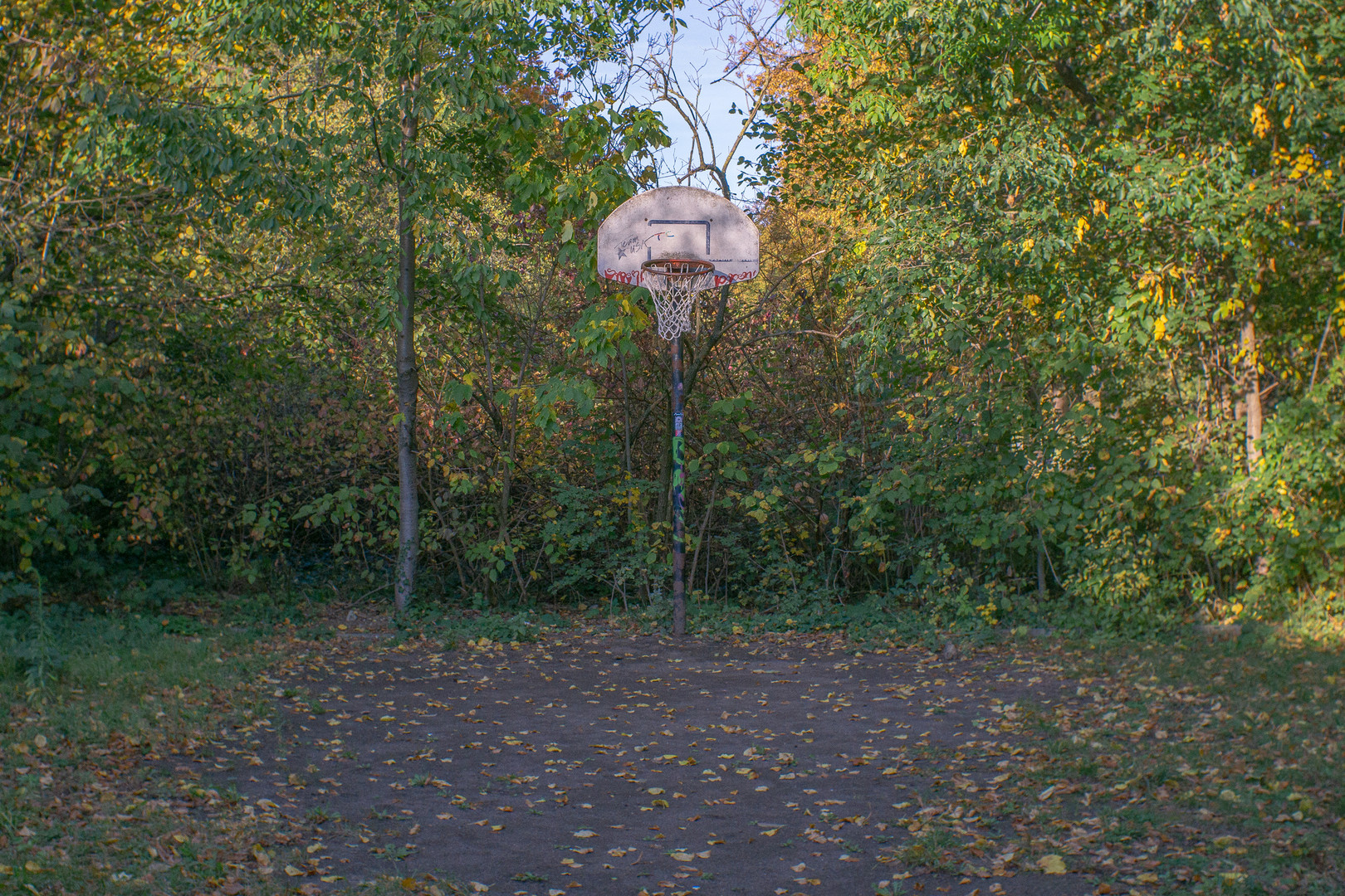 Basketball vs Natur