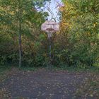 Basketball vs Natur