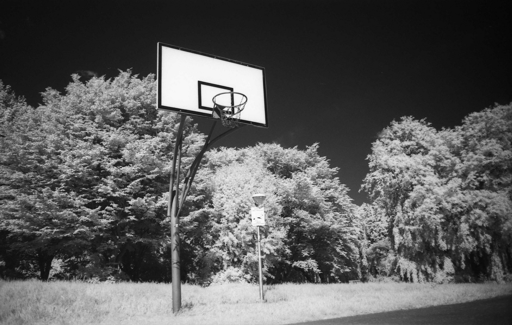 Basketballkorb