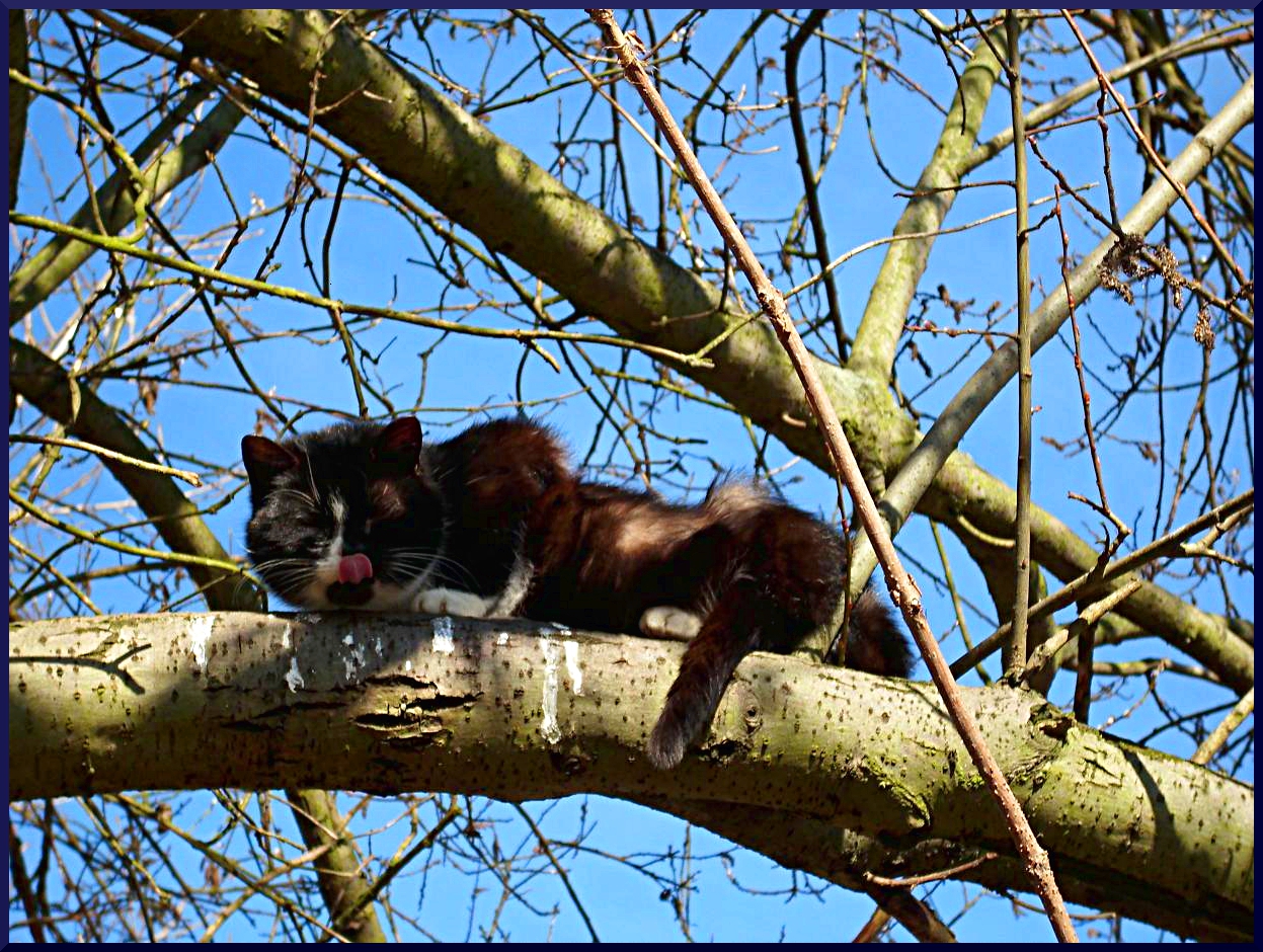 Basking in february sunshine!