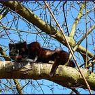 Basking in february sunshine!