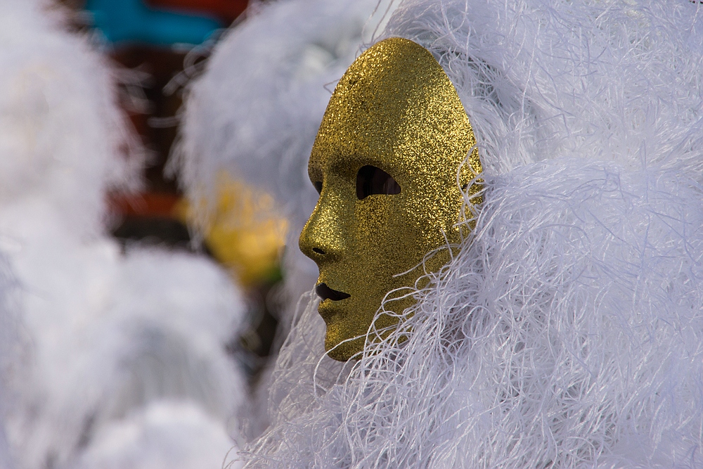 Basler Fasnacht 2014-06