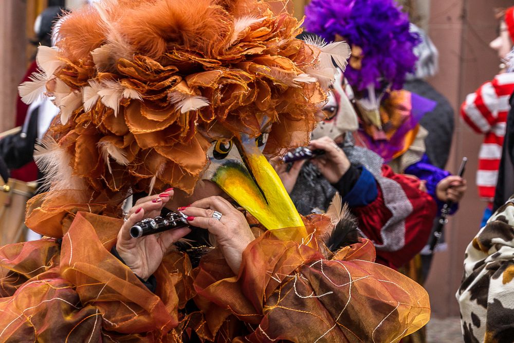 Basler Fasnacht 2017-03