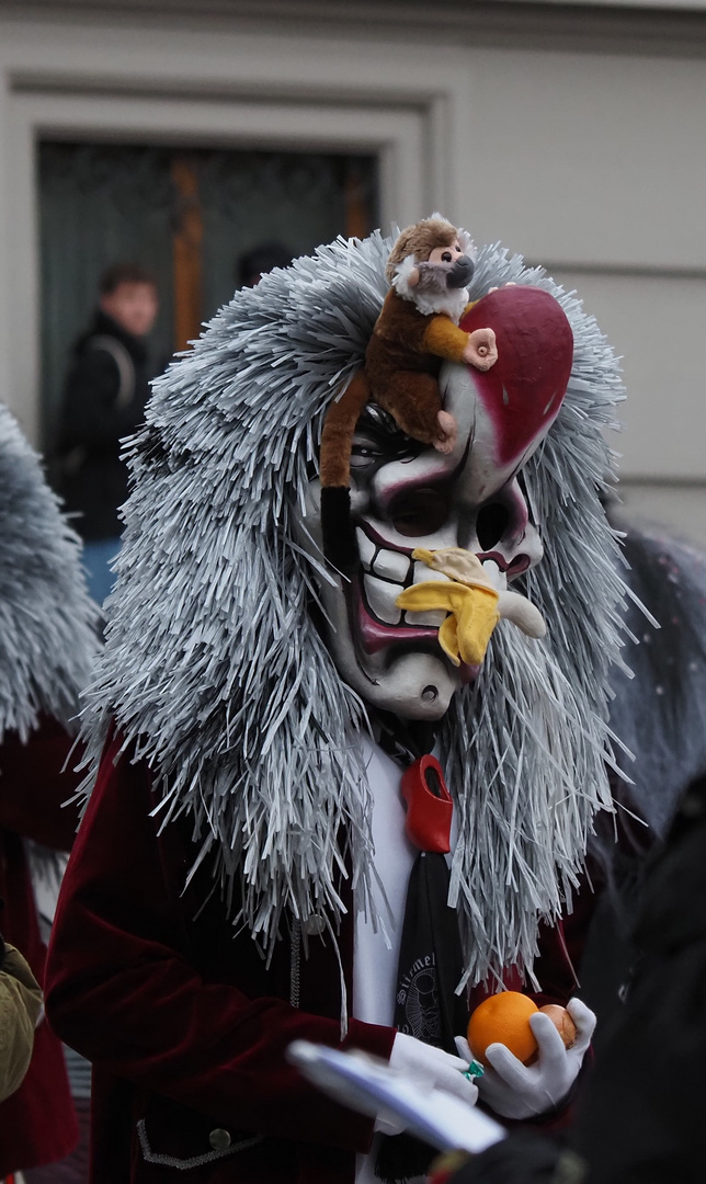 Basler Fasnacht mit Waggis 1