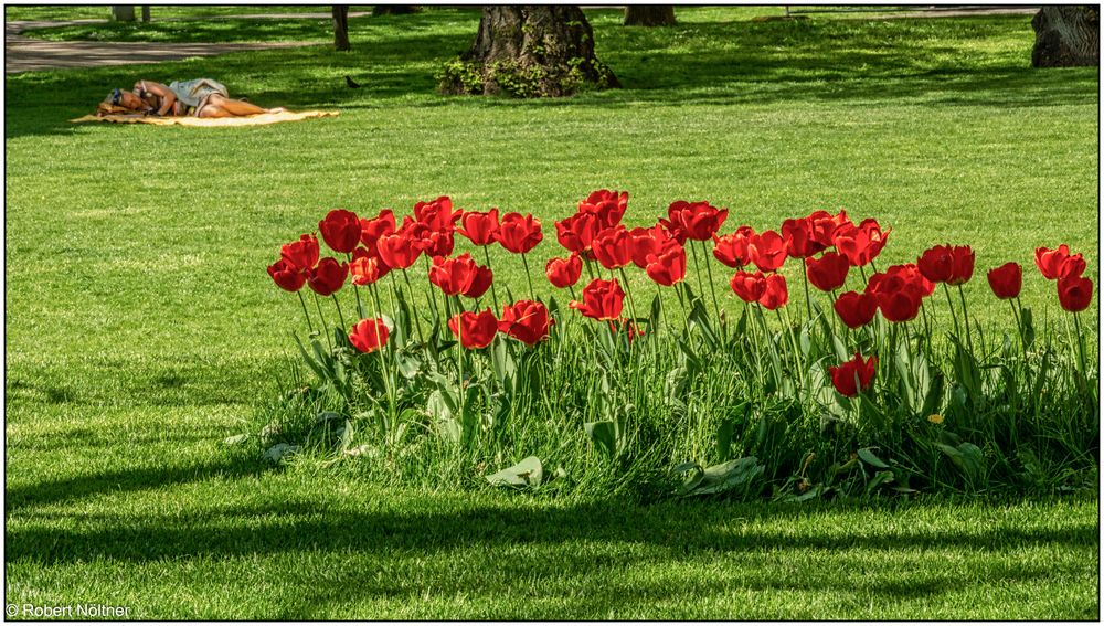 Basler Frühling 2015