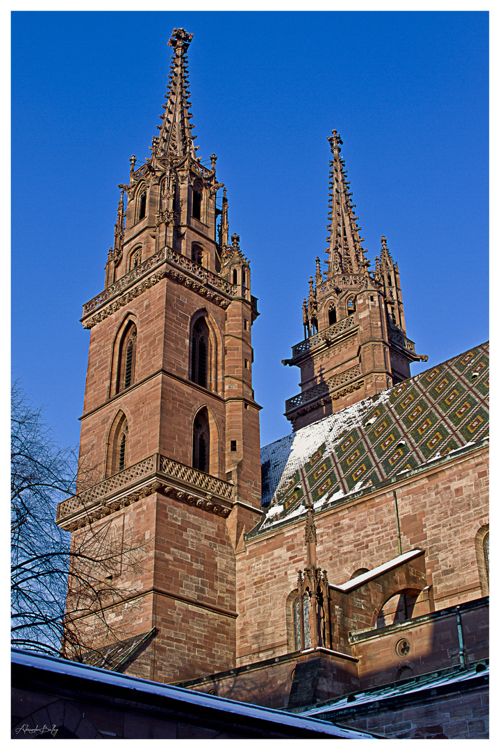 "Basler Münster"