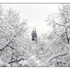 Basler Münster in Winterlandschaft