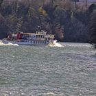 Basler Personenschifffahrt auf dem Rhein