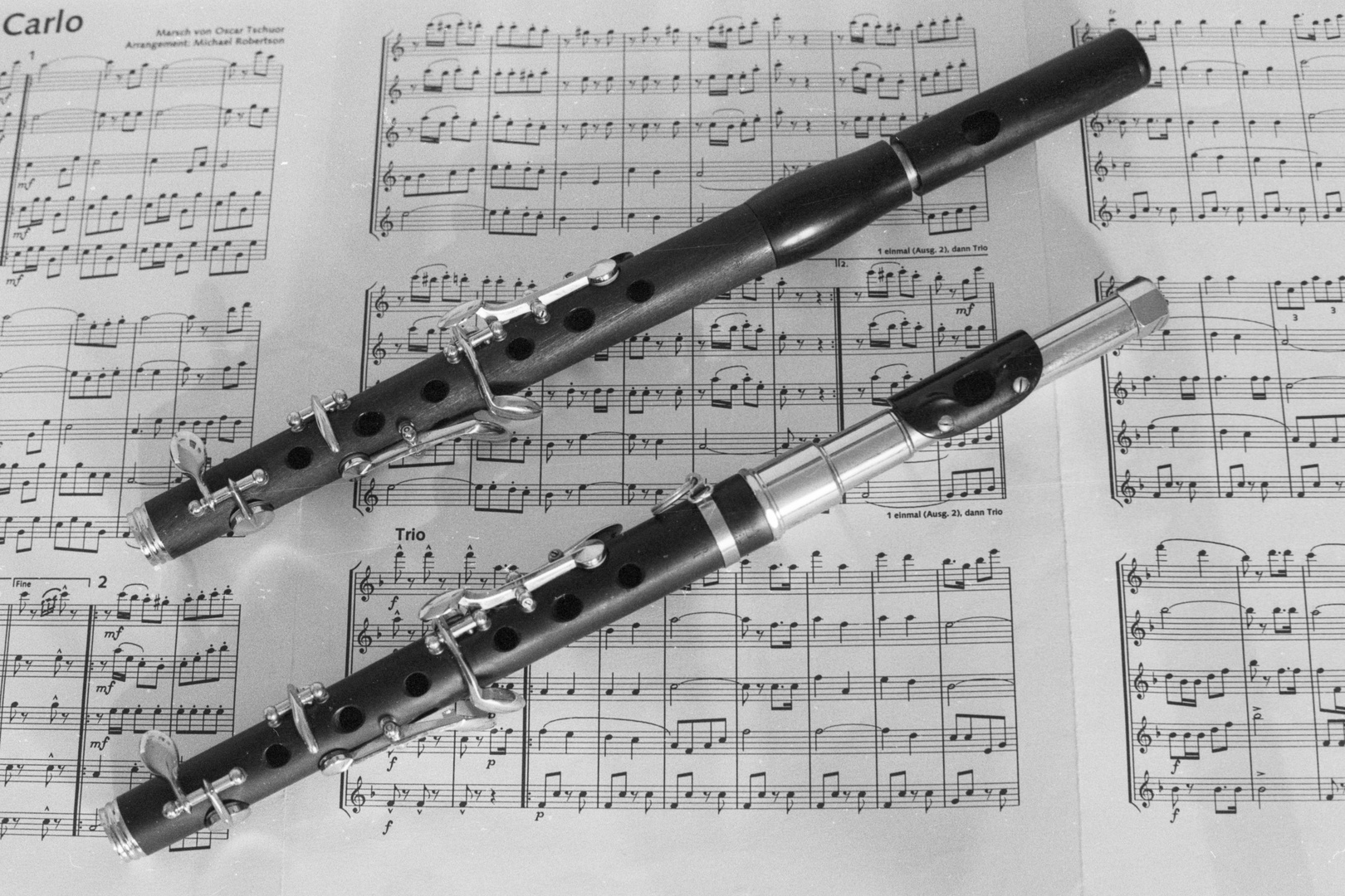 Basler Piccolo Foto & Bild kunstfotografie & kultur, musik & konzert