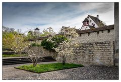 Basler Stadtmauer und St.Alban-Tor