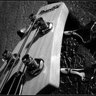 Bass Close-Up