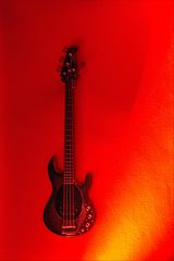 Bass Gitarre*