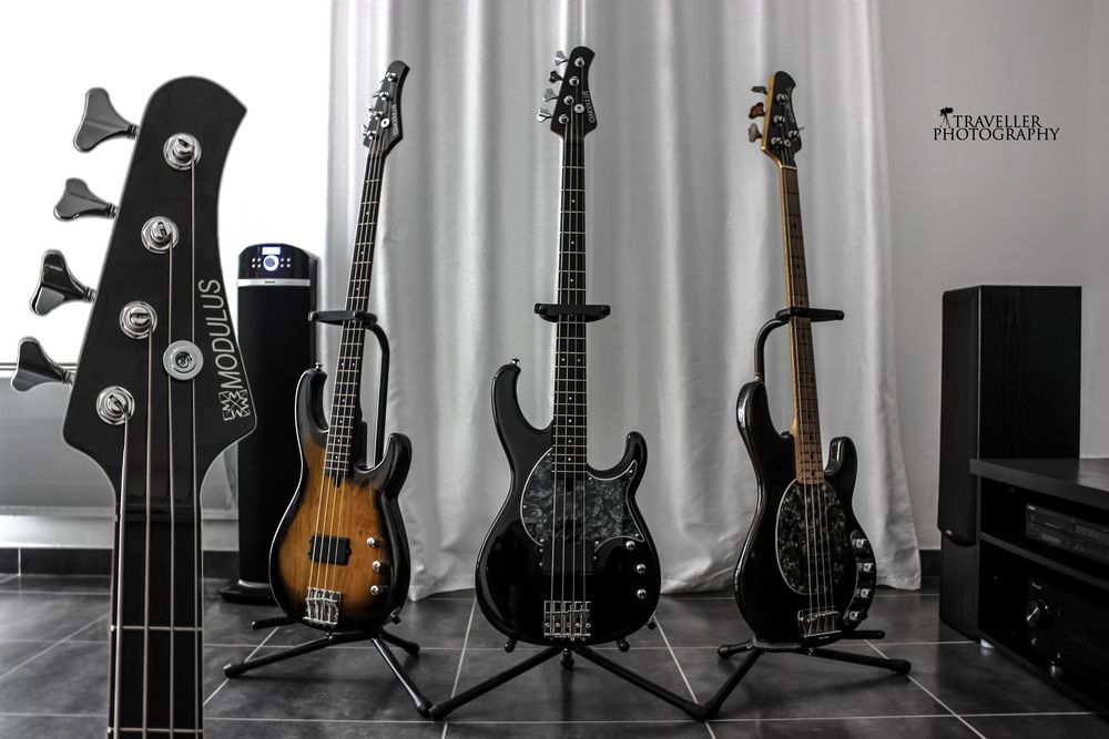 Bass Guitars