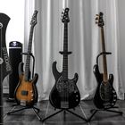 Bass Guitars