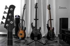 Bass Guitars