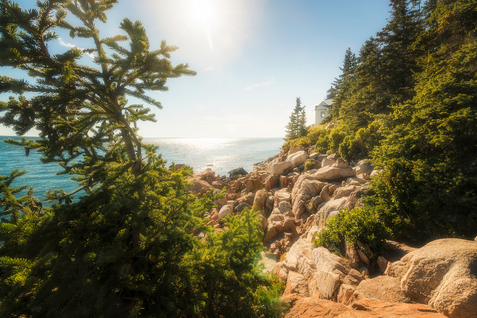 Bass Harbor Head