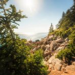 Bass Harbor Head