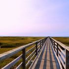 Bass Hole Boulevard (Cape Cod - USA, September 2012)