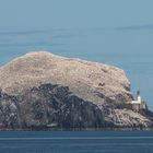 Bass Rock