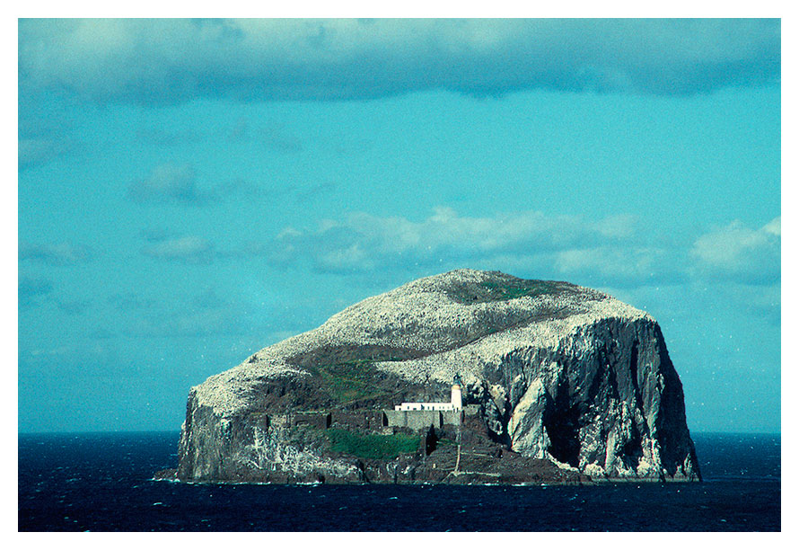 Bass Rock