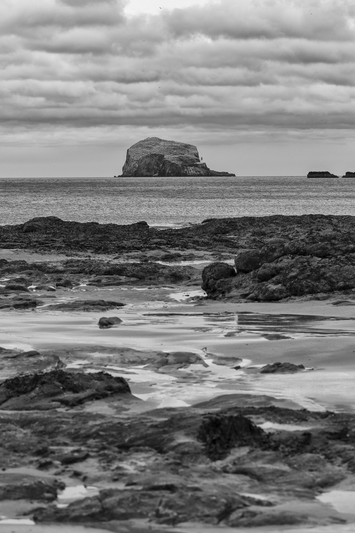 Bass Rock ...