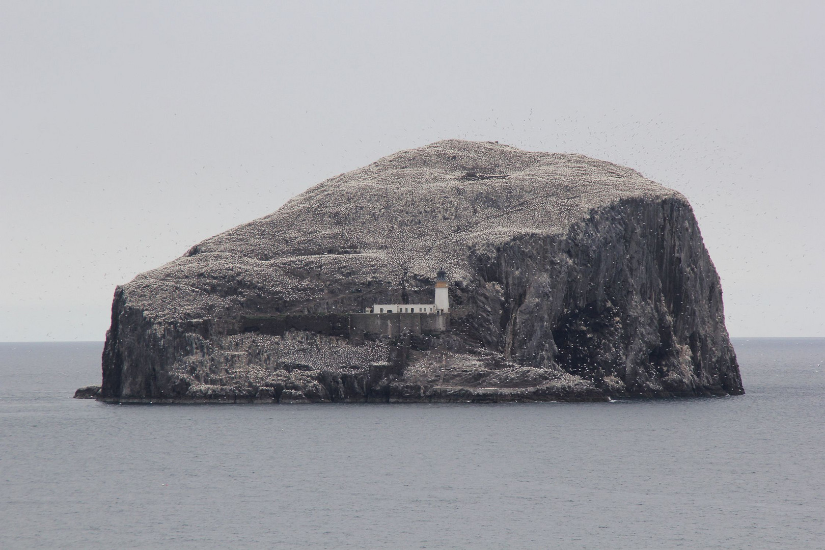 Bass Rock...