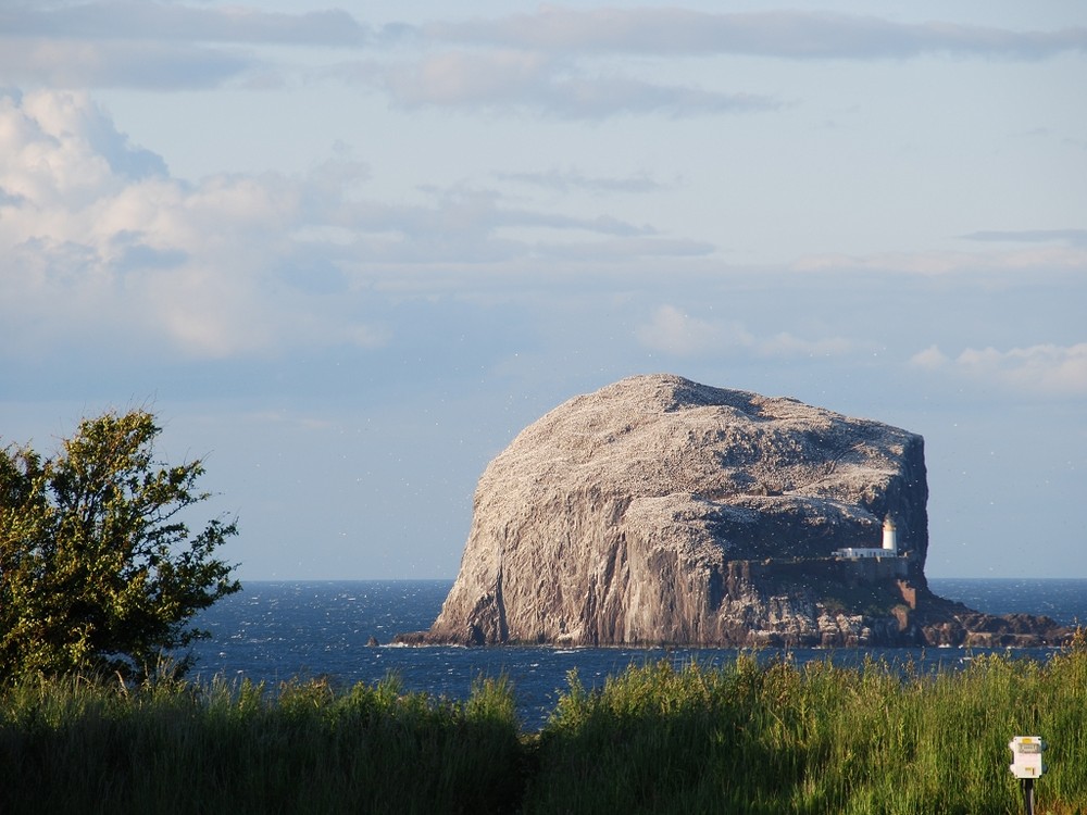 Bass Rock