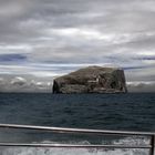 Bass Rock achteraus