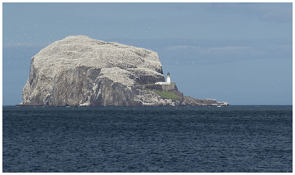 Bass Rock...