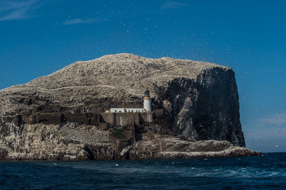 Bass Rock