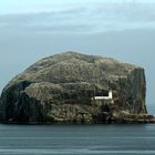 Bass Rock, East Lothian, Scotland